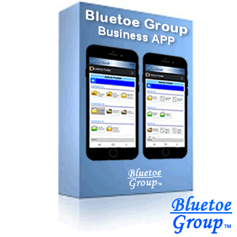 Bluetoe Group